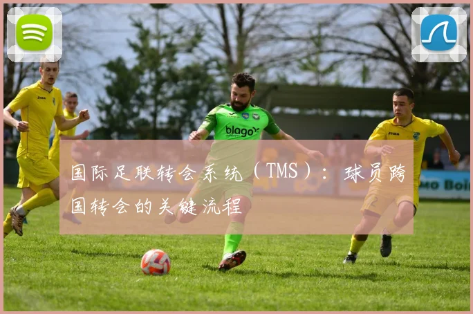 国际足联转会系统（TMS）：球员跨国转会的关键流程