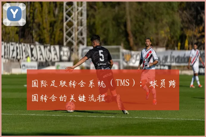 国际足联转会系统（TMS）：球员跨国转会的关键流程